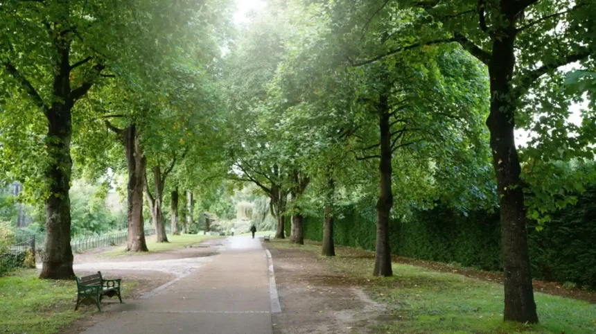 Seasonal Nature Walks Around Cardiff_ Best Year-Round Routes