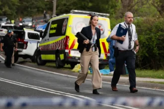 Second Child Dies After Alleged Blue Mountains Stabbing Incident In Blue Mountains 2026