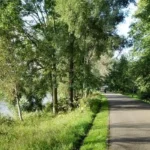 Best Family Walks in Cardiff_ Parks, Trails and Bay Routes