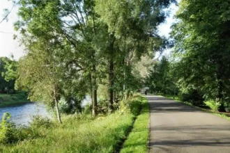 Best Family Walks in Cardiff_ Parks, Trails and Bay Routes