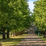 Bute Park Walking Guide_ Routes, History and Attractions in Cardiff