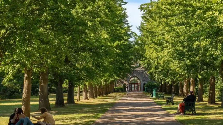 Bute Park Walking Guide_ Routes, History and Attractions in Cardiff