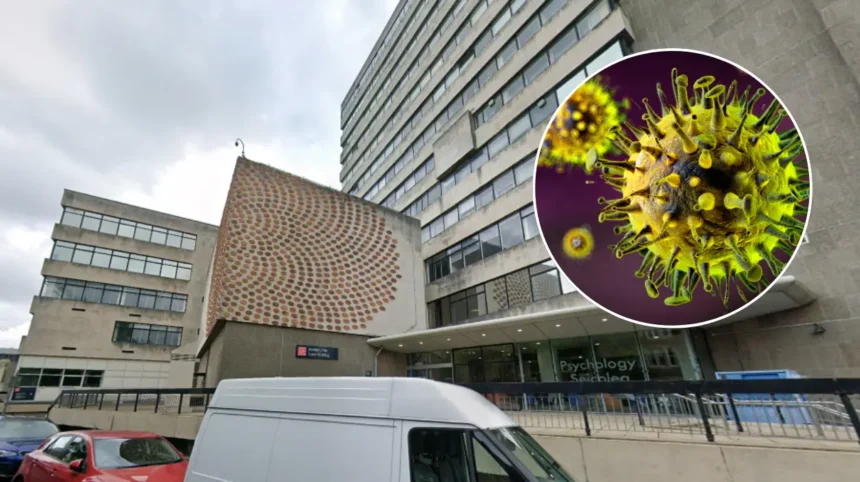 Cardiff Academic Leads UKRI Infectious Disease Behaviour Study Cardiff 2026