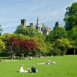 Cardiff Parks for Picnics_ Best Green Spaces to Visit