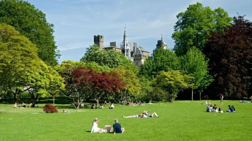 Cardiff Parks for Picnics_ Best Green Spaces to Visit