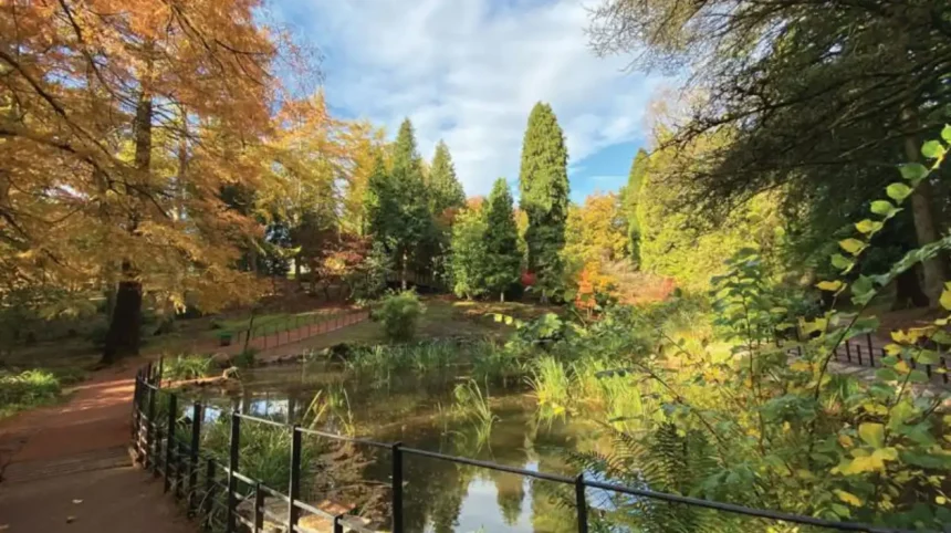 Cefn Onn Park Cardiff_ History, Walks and Visitor Guide