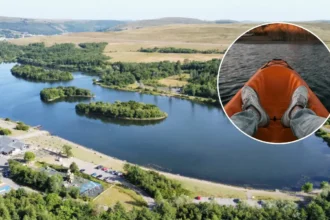 Explore Parc Bryn Bach Nature Reserve and Lake Activities in Cardiff 2026