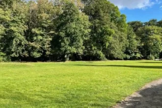 Heath Park Cardiff Guide_ History, Wildlife and Visitor Facilities