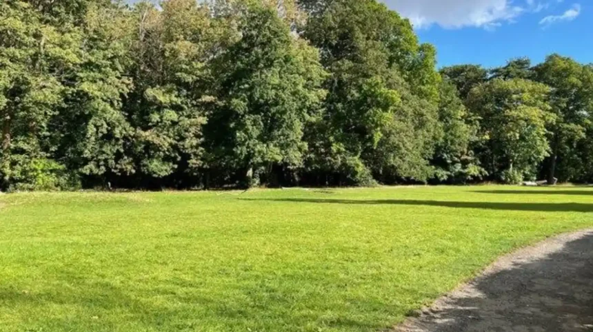 Heath Park Cardiff Guide_ History, Wildlife and Visitor Facilities