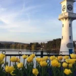 Living in Roath Cardiff Complete Neighbourhood Guide