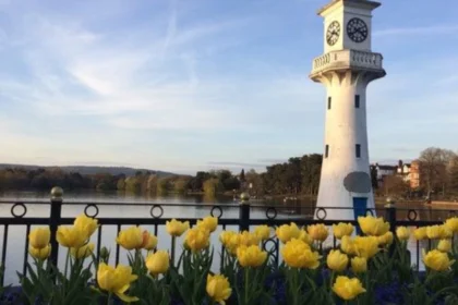 Living in Roath Cardiff Complete Neighbourhood Guide