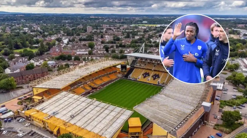 Up to 12 Players Could Miss Wolves vs Cardiff City Match in 2026