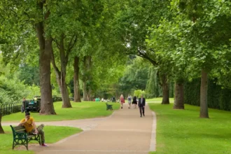 Walking Routes Across Cardiff Best Trails and City Walks