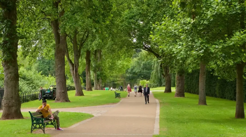 Walking Routes Across Cardiff Best Trails and City Walks